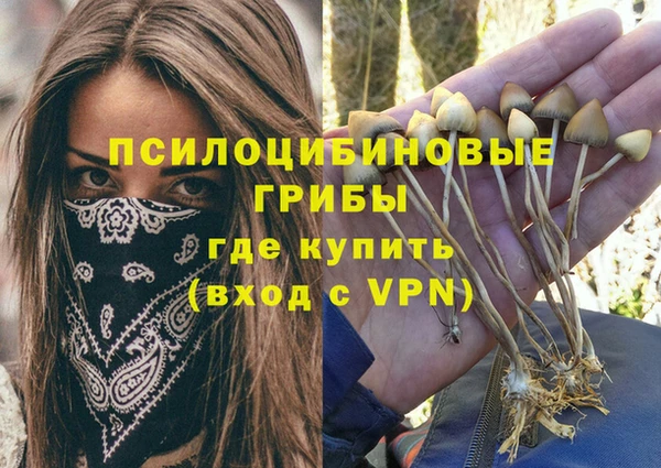 мет Кукмор