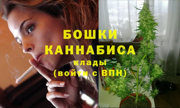 mdpv Куйбышев