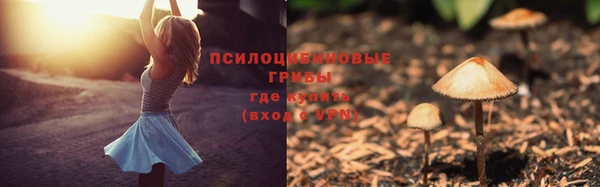 мет Кукмор